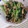 まりも274's cooksnap of when they made 簡単！我が家の小松菜ときのこ炒め.