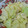 ☆tsukiko☆'s cooksnap of when they made 【キャベツとしらすで簡単おかず】.