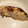 つほつほ's cooksnap of when they made 定番の味❖銀だらの西京焼き.