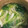 グランティラノス's cooksnap of when they made カブと小松菜の中華スープ.