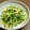 みがつくひと's cooksnap of when they made 簡単、早っ旨っ豆苗炒め.