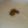 クックZ69KDS☆'s cooksnap of when they made とろろ芋の柚子胡椒のせ.