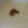 クックZ69KDS☆'s cooksnap of when they made とろろ芋の柚子胡椒のせ.