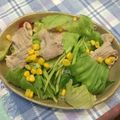 亜久里's cooksnap of when they made 夏のランチに♪豚しゃぶサラダそうめん.