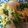 rinox2's cooksnap of when they made ニラと豚肉の卵炒め.