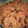 ｙｏｕ×2－ｍａｍａ's cooksnap of when they made 赤飯は圧力鍋で～蒸しましょう！.