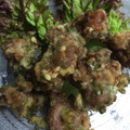 クック1Y5T58☆'s cooksnap of when they made ゴーヤと豚こまのかき揚げ.
