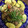シゲア菌's cooksnap of when they made 塩トマトで豚ともやしの炒め物✿.