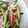 あゆむーちょ's cooksnap of when they made きゅうりとちくわの中華サラダ.