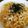 ハムスケ☆'s cooksnap of when they made 鶏と長葱の柚子胡椒パスタ.