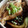 ポポポポポフィ〜♡'s cooksnap of when they made 丸ごとナスのレンジで簡単煮浸し風.