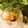 まみお✳'s cooksnap of when they made ご飯のお供☆生姜の佃煮.