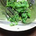 kissa8000's cooksnap of when they made (山菜)コシアブラのお浸し.