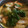 abeko's cooksnap of when they made 簡単！カブと舞茸のコンソメ煮.