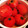 meginjp's cooksnap of when they made トマト消費！手作りミートソース＊＊.