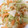 ぴぴぷぷぷ's cooksnap of when they made 本当はうまい！キャベツの芯炒め！.