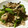 のんのんSTELLA's cooksnap of when they made きくらげとにんにくの芽と豚肉炒め.