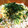 fukumajin's cooksnap of when they made 焼き鮭のちらし寿司.