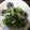 クックJYUHST☆'s cooksnap of when they made 簡単♪キュウリとかにかまの酢の物.