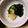 yukiris's cooksnap of when they made じゃがいもとわかめの煮物.
