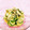★ぱんパンダ★'s cooksnap of when they made きゅうりとお豆腐の濃厚梅わさび醤油和え.