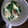 ほーわ's cooksnap of when they made ほっこり。茶碗蒸し.