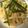はるすけ１１２２'s cooksnap of when they made 簡単★たらこのパスタ.