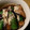katkimryi's cooksnap of when they made 茄子とししとうのポン酢あえ.