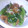 カナリア♪'s cooksnap of when they made もやしとザアサイの簡単和え物.