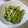 まほじょ's cooksnap of when they made ゴーヤともやしの柚子胡椒ぽん酢和え.