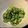 peilian's cooksnap of when they made 簡単きゅうりのおひたし☆ごま油風味☆.