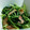 しなちゃん83's cooksnap of when they made 水菜とベーコンのささっと炒め.