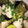 amuhime♡'s cooksnap of when they made 簡単★夏野菜の茄子と冷凍里芋の煮物.
