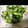 tyanncyonn's cooksnap of when they made みょうがときゅうりのSHISO和え.