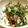 みっきーどっぐ's cooksnap of when they made ♪炙り生秋刀魚丼♬.
