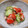 kana叶's cooksnap of when they made きゅうりとプチトマトのツナ和え.