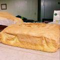 ☆しいたけ's cooksnap of when they made 簡単スポンジケーキ.