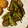 cheesedog's cooksnap of when they made 夏野菜の揚げ浸し.