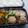 スタイリッシュママ's cooksnap of when they made 鶏肉ときゅうり◇さっぱり塩だれ炒め.