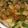 へそみ☆'s cooksnap of when they made 焼豚ときゅうり☆キムチの和え物.