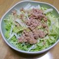 書セラピスト流香's cooksnap of when they made 混ぜるだけ。白菜とシーチキンのツナサラダ.