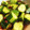 クック56A1B2☆'s cooksnap of when they made 中華料理屋さん風 きゅうりの甘酢漬け.