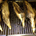 美味しい物作りたい's cooksnap of when they made メチャ旨！とうもろこし～アウトドア編.