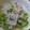 クチバシ's cooksnap of when they made しらすとピーマンのさっと煮.