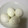 凛パパ's cooksnap of when they made ゆで卵を簡単につるんと剥く技☆.