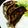 ユーロン's cooksnap of when they made うちの定番♪焼き餃子.