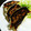 ユーロン's cooksnap of when they made うちの定番♪焼き餃子.