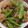 allysally's cooksnap of when they made 豚と茄子の生姜焼き.