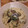 クックYEPDPQ☆'s cooksnap of when they made 超簡単☆あさり貝と椎茸のスープ.