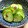 aflocook's cooksnap of when they made ちゃちゃっと白だし簡単きゅうり浅漬.